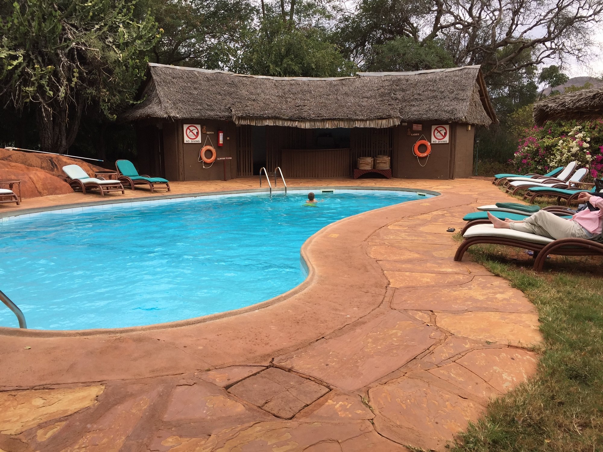 Kilaguni Serena Safari Lodge gallery 5